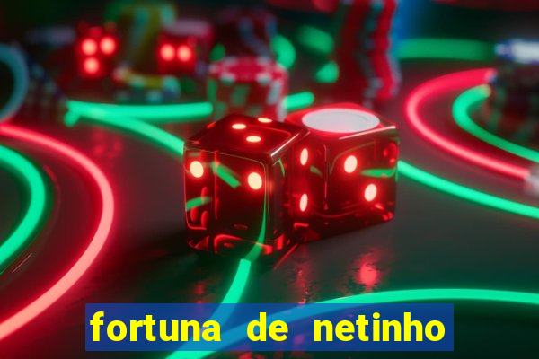 fortuna de netinho de paula